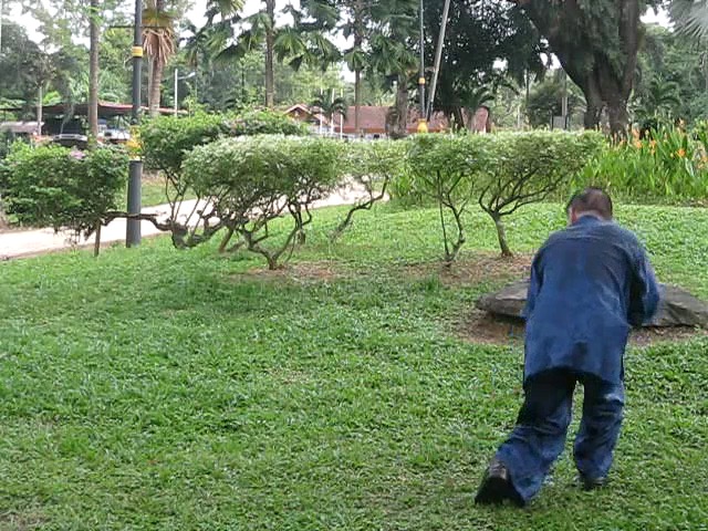 Wu Yu Xiang Style Taijiquan